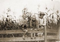 Farm work. Growing corn